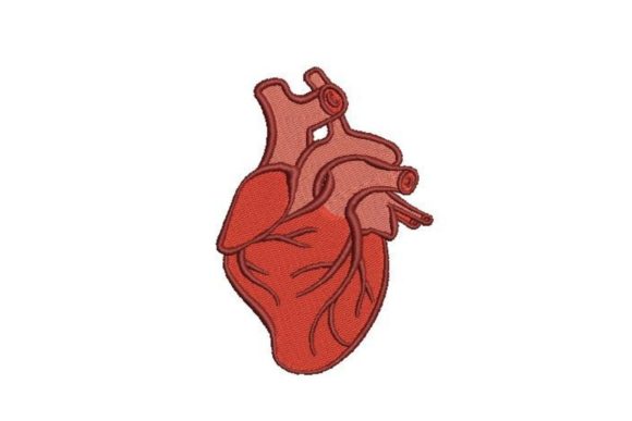 Anatomically Correct Heart